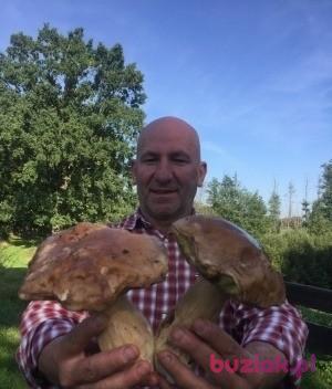 Wojtas, Male, 57, Holandia, Photo: 5