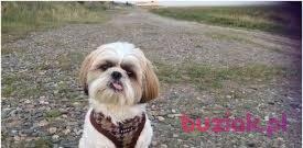 Dorian, Male, 33, Olsztyn, Polska, Photo: 2