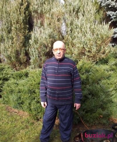 Mirosław, Mężczyzna, 59, Wrocław, Polska, Zdjęcie: 7
