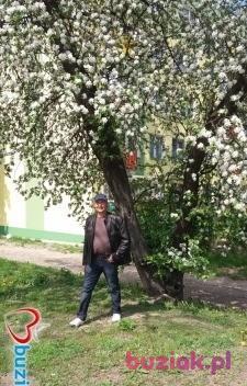 Wiktor, Male, 60, Białystok, Polska, Photo: 3