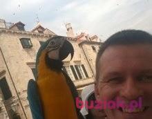 Piotr, Mężczyzna, 49, Pabianice, Polska, Zdjęcie: 3