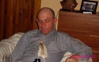 baryka, Mężczyzna, 61, Gdańsk, Polska, Zdjęcie: 2