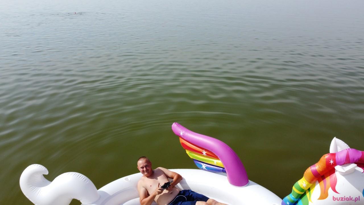 Michał, Mężczyzna, 37, Zgierz, Polska, Zdjęcie: 251