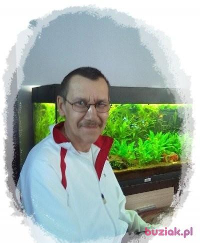 Jan, Male, 70, Biskupiec, Polska, Photo: 4