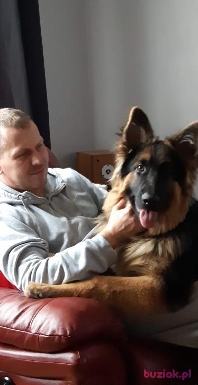 Przemysław , Mężczyzna, 49, Gwersyllt, Wielka Brytania, Zdjęcie: 2