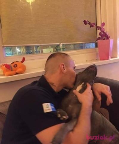 Daniel, Male, 38, Wielka Brytania, Photo: 8