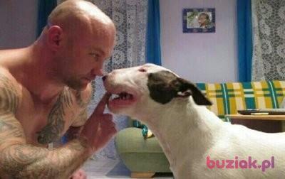 zwyklypolskifac, Male, 46, Wielka Brytania, Photo: 3