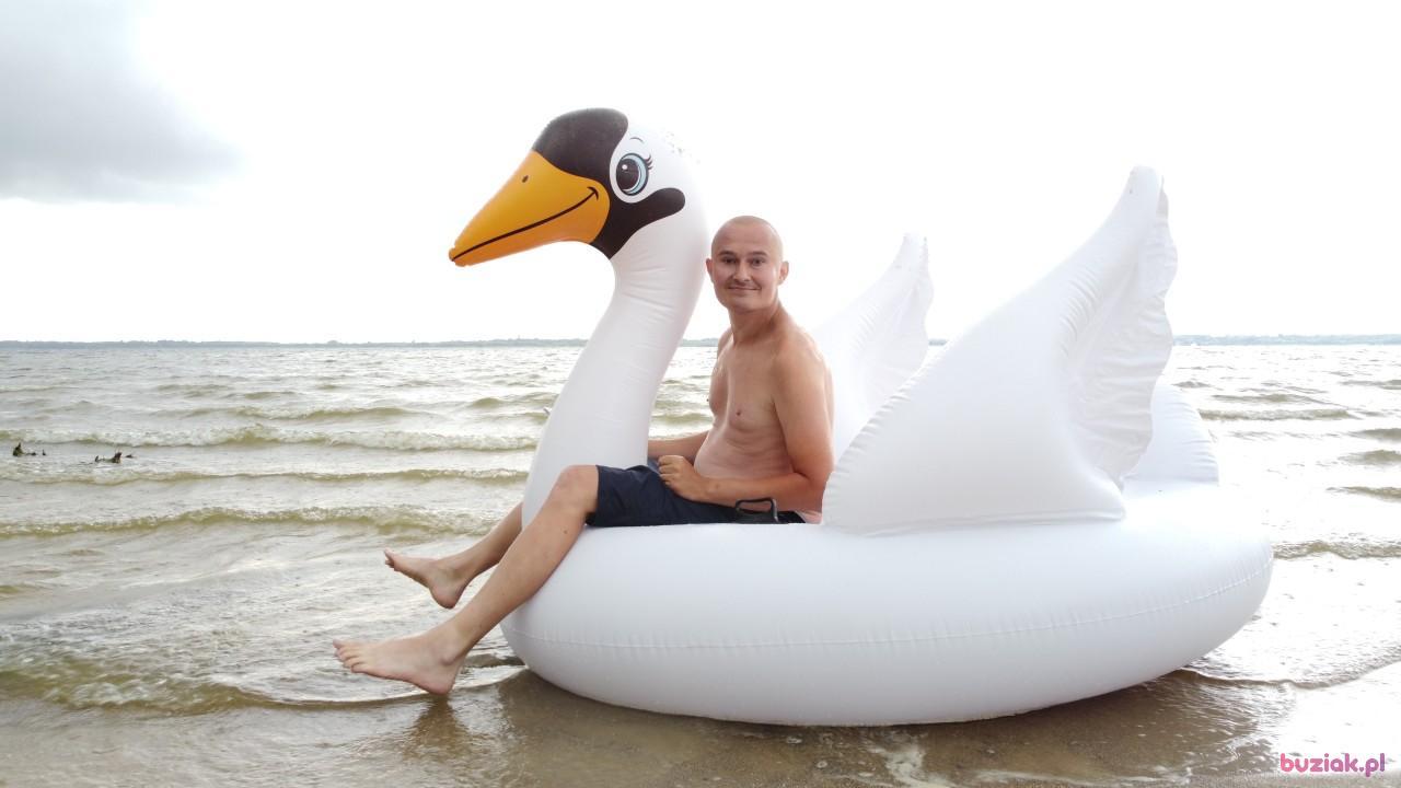 Michał, Mężczyzna, 37, Zgierz, Polska, Zdjęcie: 524