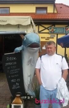 Roman, Mężczyzna, 61, Wrocław, Polska, Zdjęcie: 4
