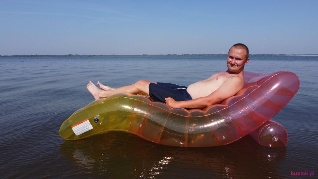 Michał, Mężczyzna, 37, Zgierz, Polska, Zdjęcie: 656