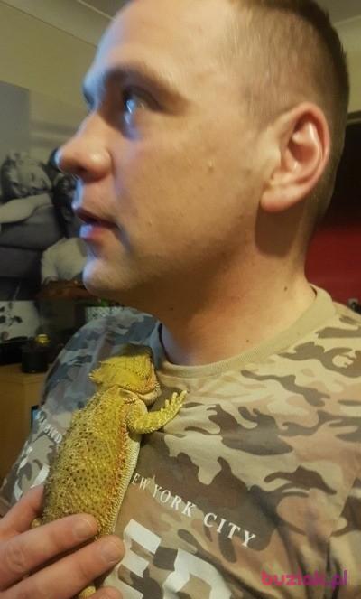Pawel , Male, 44, Bournemouth, Wielka Brytania, Photo: 3