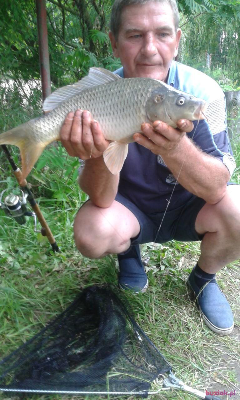 Mirosław, Mężczyzna, 62, Grudziądz, Polska, Zdjęcie: 3