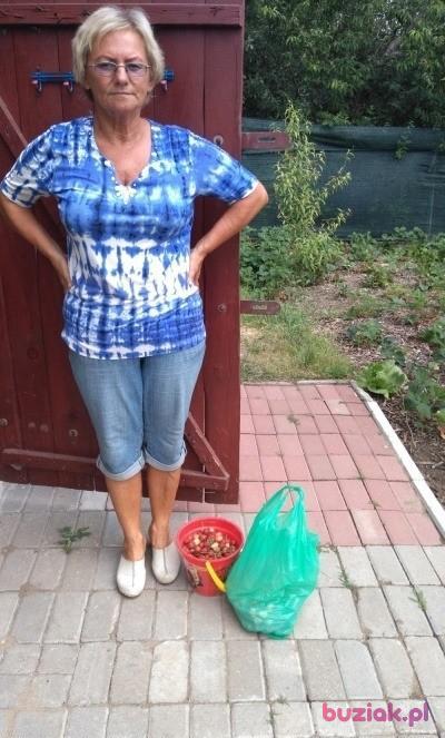 Halina, Female, 65, Brzeg Dolny, Polska, Photo: 5