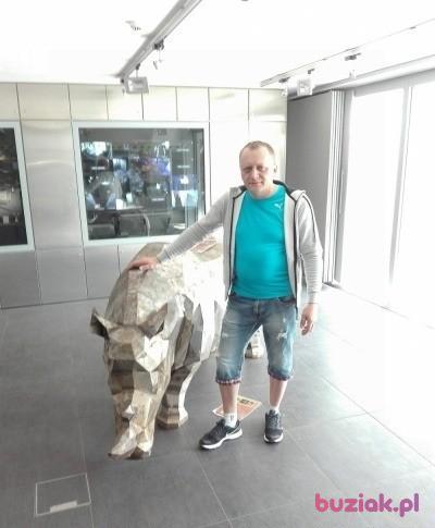 PAWEL, Male, 45, 's-Hertogenbosch, Holandia, Photo: 4