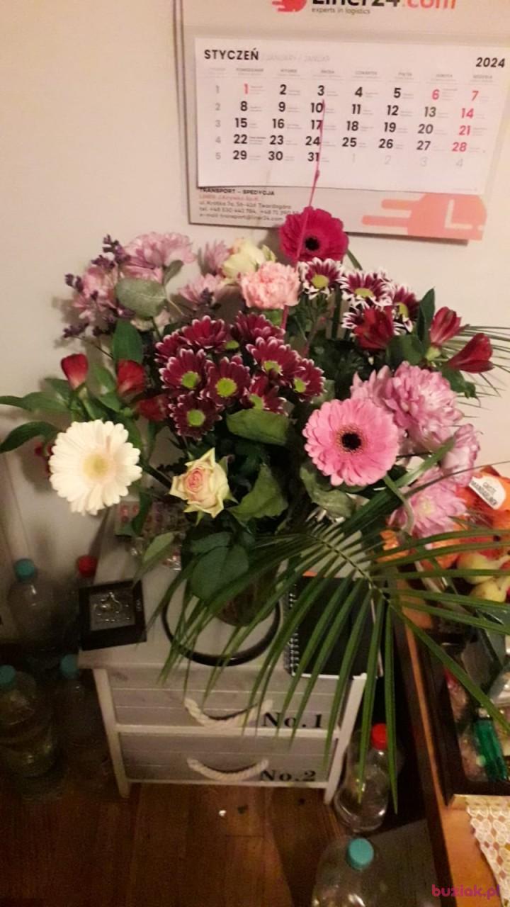 Robert, Mężczyzna, 52, Haarlem, Holandia, Zdjęcie: 7