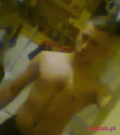 michał, Male, 29, Brwinów, Polska, Photo: 2