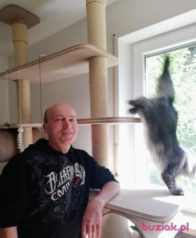bogdan, Mężczyzna, 64, Ingolstadt, Niemcy, Zdjęcie: 15