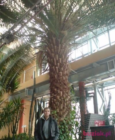 paweł, Male, 59, Kraków, Polska, Photo: 1