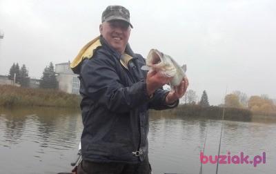 Wojtek, Male, 51, Reda, Polska, Photo: 5