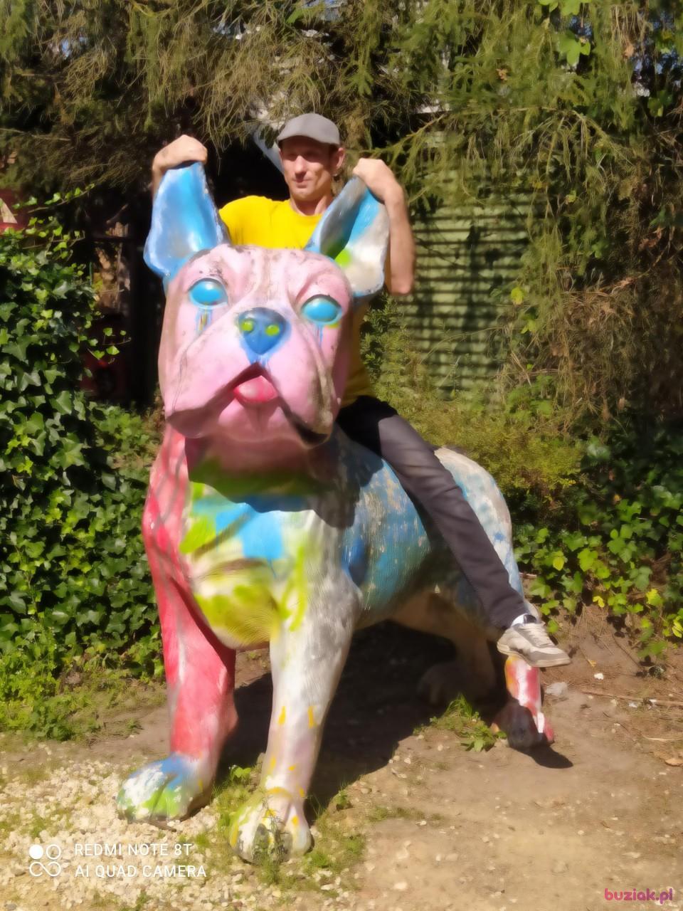 Tomasz, Male, 49, Arcen, Holandia, Photo: 2