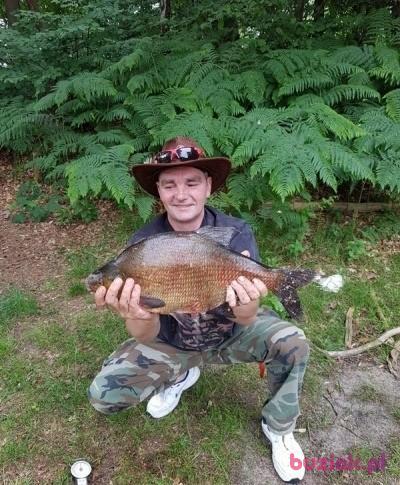 Marek, Male, 56, Niemcy, Photo: 3