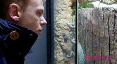 Gniewomir, Mężczyzna, 35, Katowice, Polska, Zdjęcie: 2