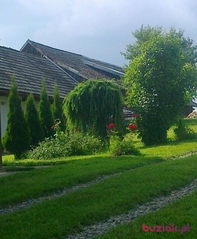wlodek, Male, 52, Bochnia, Polska, Photo: 2