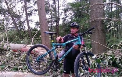 JANUSZ, Male, 52, Żerków, Polska, Photo: 3