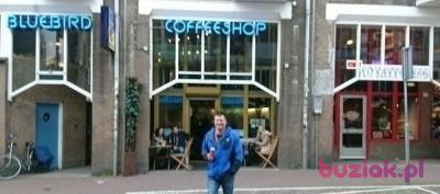 M80K, Male, 46, Lisse, Holandia, Photo: 2
