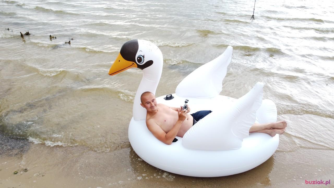 Michał, Mężczyzna, 37, Zgierz, Polska, Zdjęcie: 562
