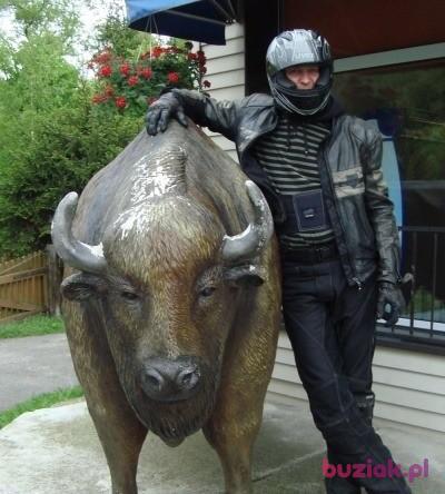 Wituna, Male, 47, Szczecin, Polska, Photo: 5