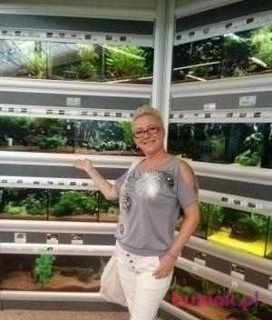 Żaneta, Female, 54, Kożuchów, Polska, Photo: 2