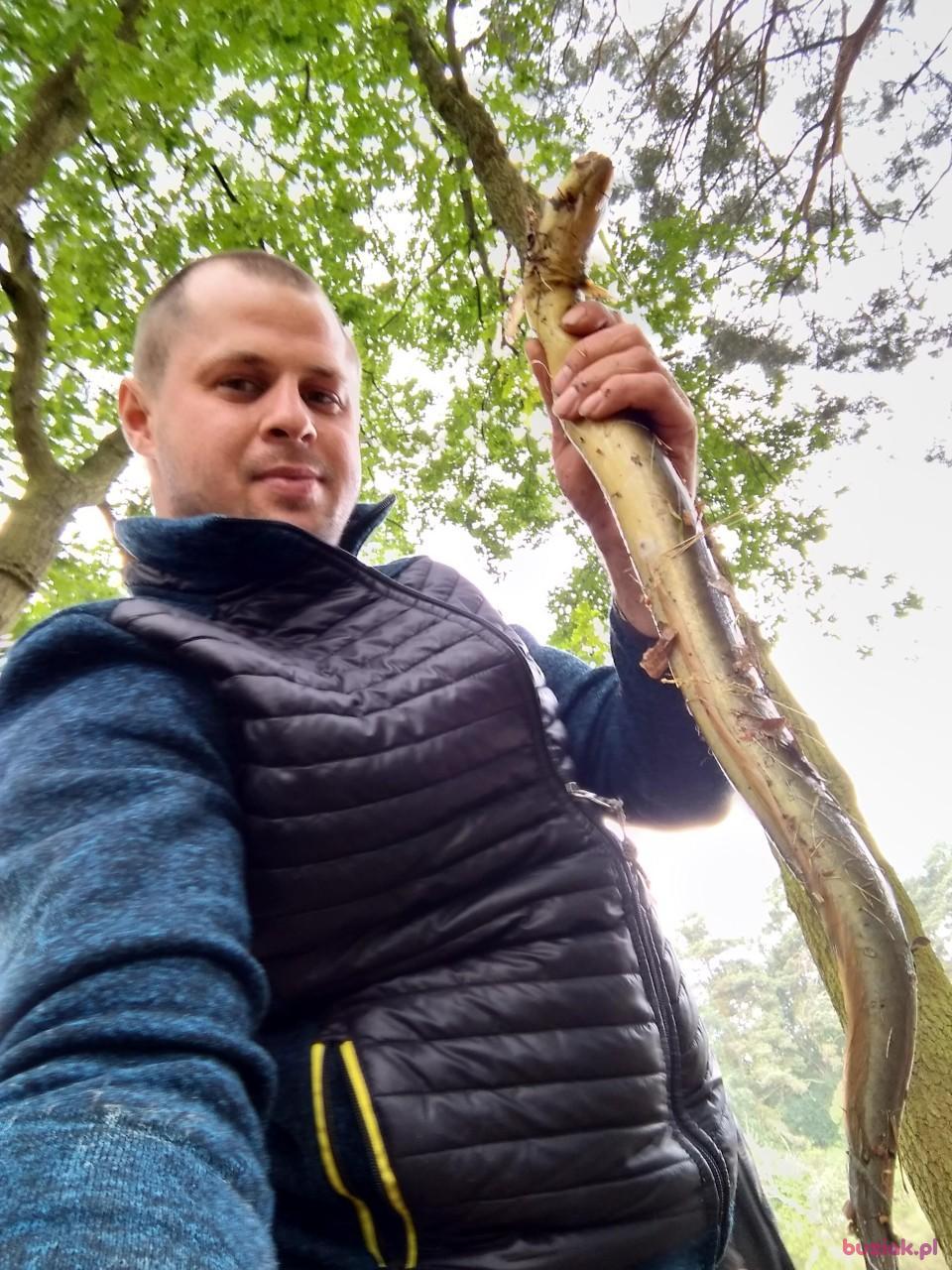 Łukasz, Mężczyzna, 36, Łęknica, Polska, Zdjęcie: 5