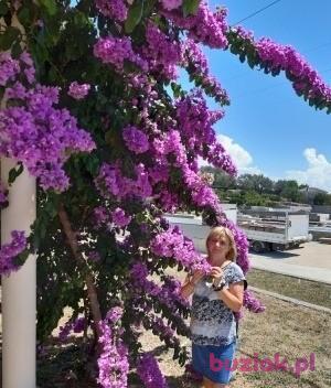MAGDALENA, Female, 58, Dąbrowa Górnicza, Polska, Photo: 2