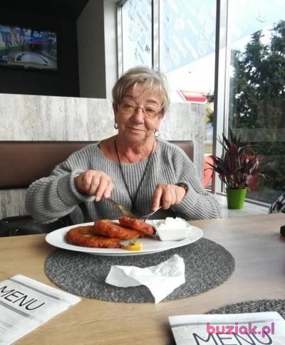 Halina, Kobieta, 81, Mikołów, Polska, Zdjęcie: 15