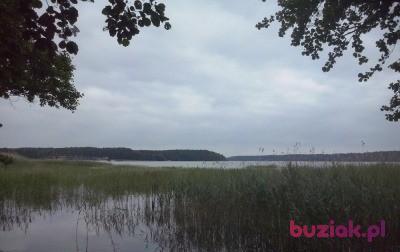 Jerzy, Male, 77, Ruciane-Nida, Polska, Photo: 5
