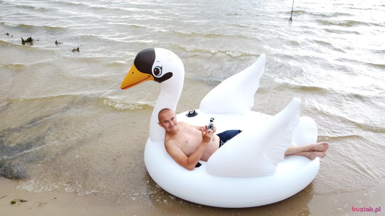 Michał, Mężczyzna, 37, Zgierz, Polska, Zdjęcie: 561