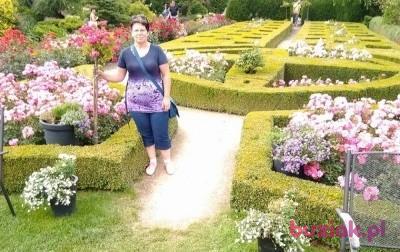 sylwia, Kobieta, 55, Poznań, Polska, Zdjęcie: 3