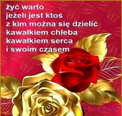 Tomasz, Male, 61, Warszawa, Polska, Photo: 4