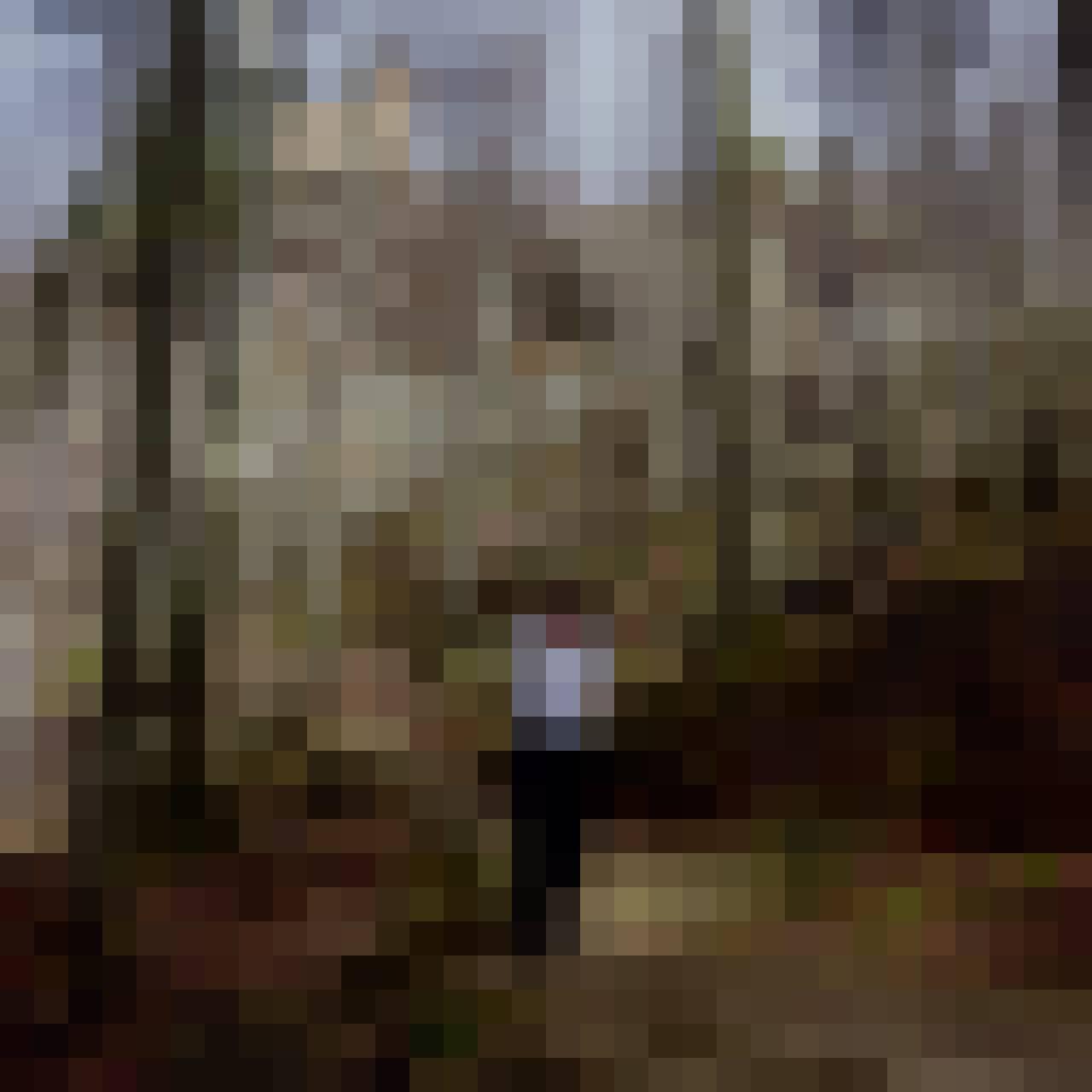 jakieś, Male, 67, Polska, Photo: 2