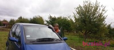 mirafion, Mężczyzna, 44, Szczecin, Polska, Zdjęcie: 3