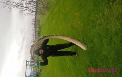 Karol, Male, 40, Starogard Gdański, Polska, Photo: 4