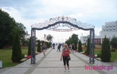 Maria, Female, 67, Jędrzejów, Polska, Photo: 4