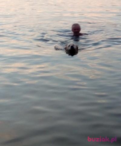 Krzysztof, Mężczyzna, 51, Łódź, Polska, Zdjęcie: 11