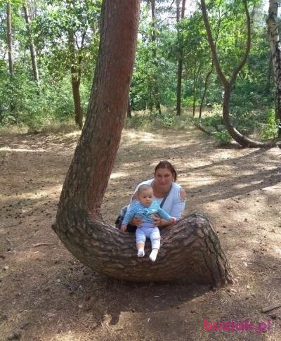 Anna, Female, 48, Stargard Szczeciński, Polska, Photo: 2