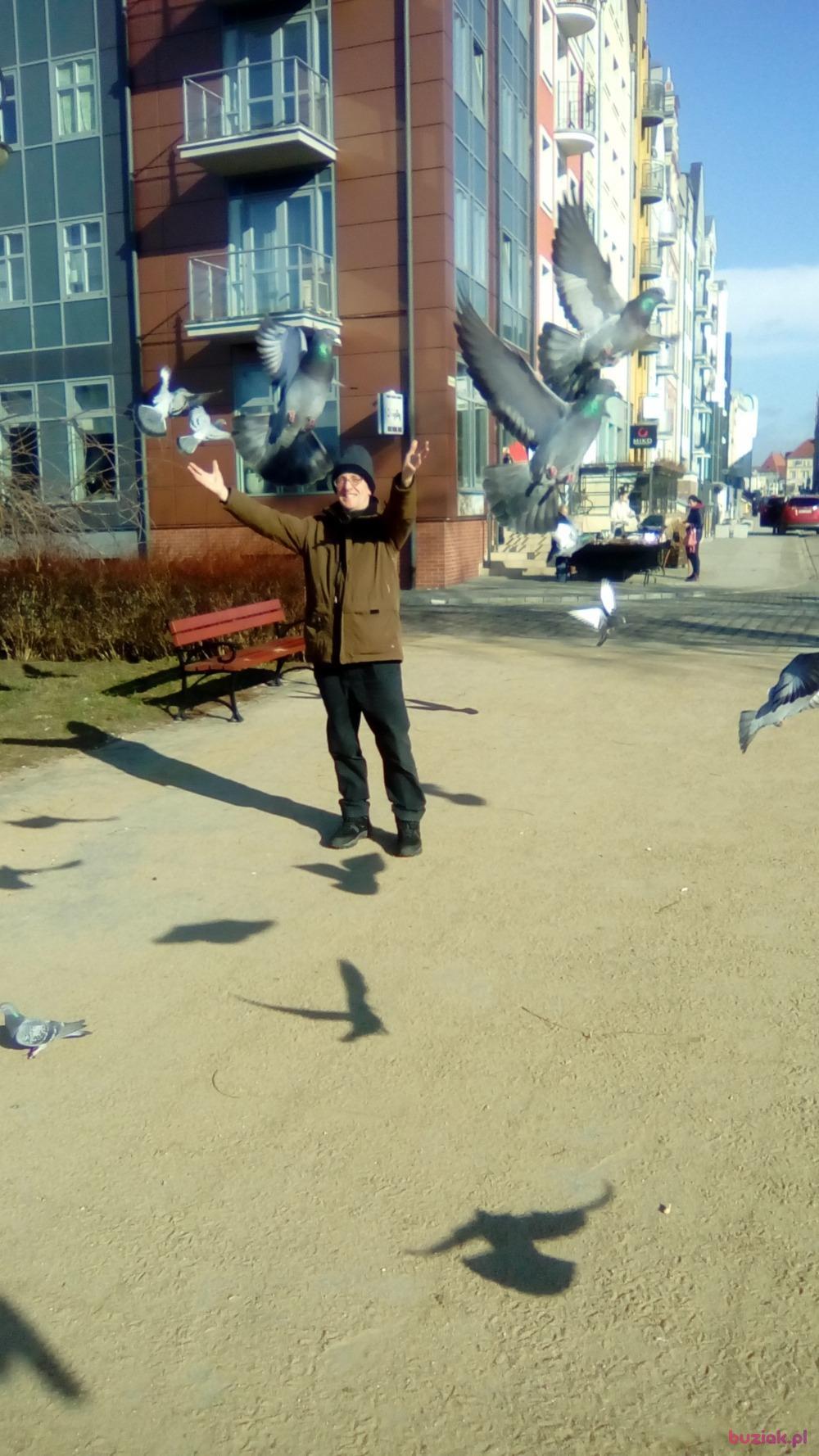Grzegorz , Male, 65, Elbląg, Polska, Photo: 3