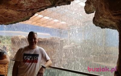 Tomek, Male, 49, Gdańsk, Polska, Photo: 3
