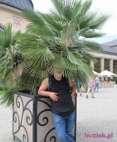 Jerzy, Mężczyzna, 61, Gdańsk, Polska, Zdjęcie: 1