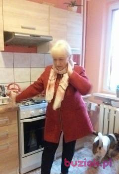 Elzbieta, Female, 67, Legnica, Polska, Photo: 2