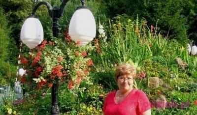 Wrzos19, Kobieta, 74, Polska, Zdjęcie: 1